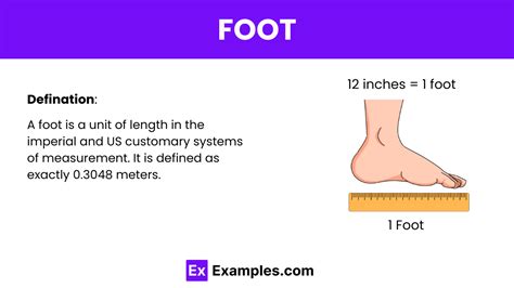 Ruler Foot Definition