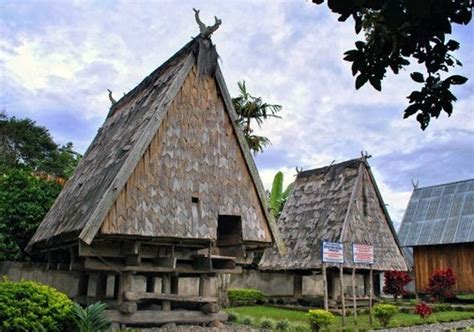 rumah adat sulawesi tengah tambi