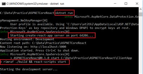 run dotnet project from command line linux