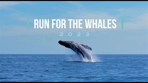 run for the whales 2023