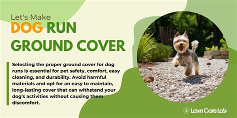 Run Ground Cover