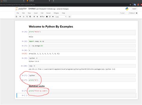 run python script in jupyter notebook
