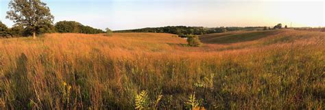 Runge Prairie