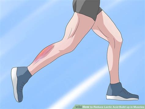 Running Calves Lactic Acid