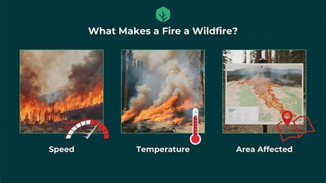 Running Fire Definition