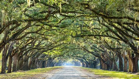 running in savannah ga