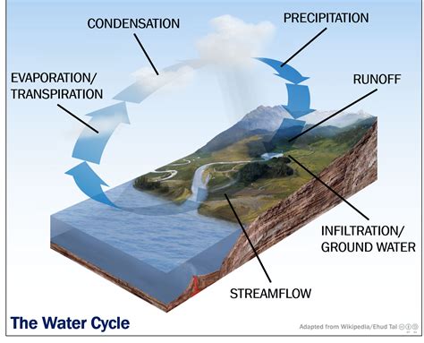 runoff definition water cycle