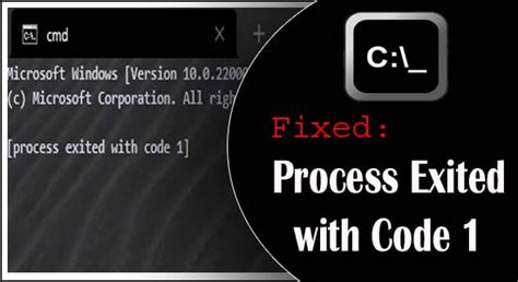 runtime error program exited with code 1
