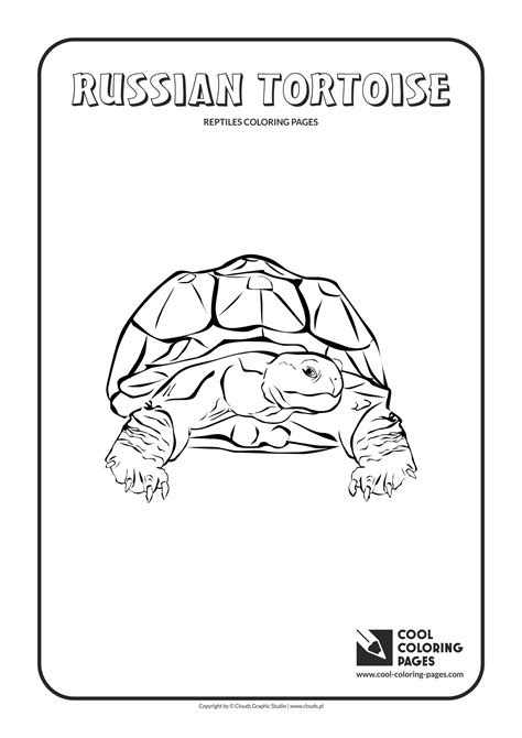 Russian Tortoise Coloring Pages