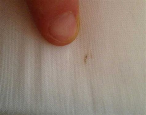 Rust Colored Stains On Box Spring