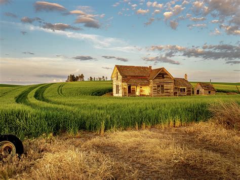 Rustic Meaning In Art