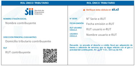 rut empresa extranjera sii