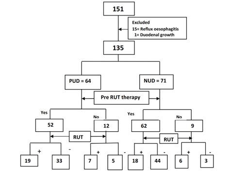 rut negative in endoscopy meaning