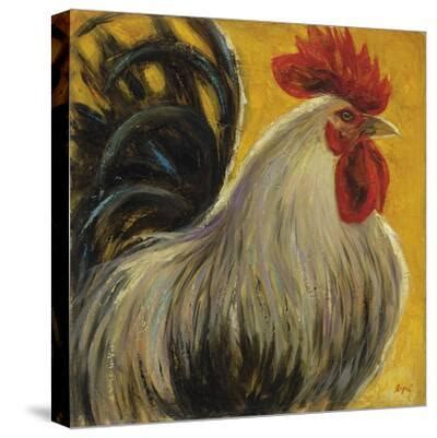 Rutger Canvas Login Guide