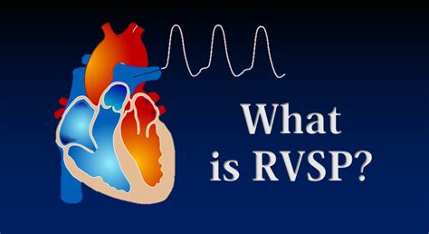rvsp full form in echo