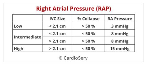 rvsp normal values echo