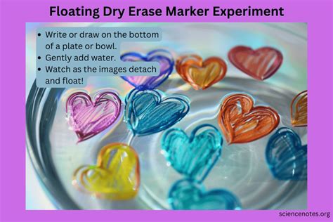 Ryan Dry Erase Marker Experiment