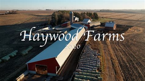 ryan haywood kiwi farms