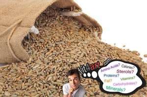 Rye Grain Feed Value