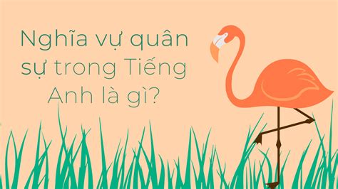 sự sống tiếng anh là gì