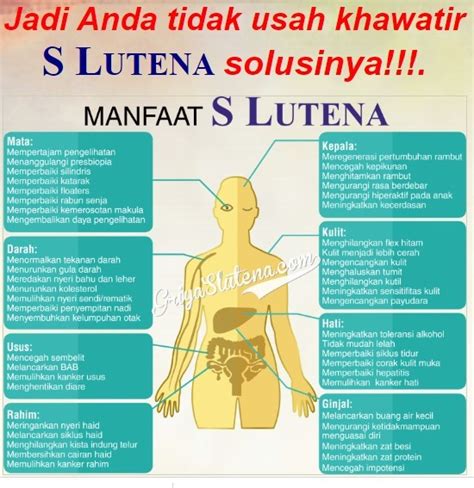 s lutena manfaat