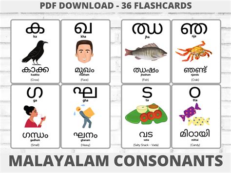 s meaning in malayalam