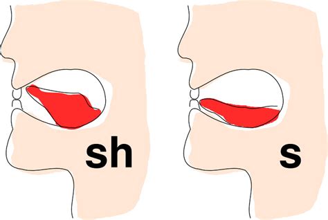 s sound tongue position
