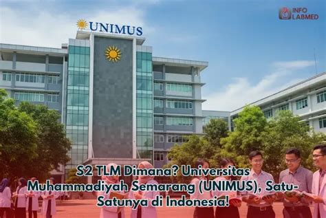 s2 tlm