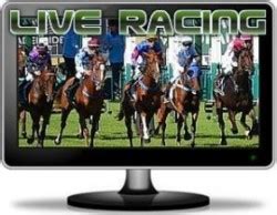 sa horse racing live stream