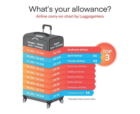 saa flights baggage allowance