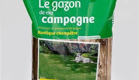 Sac De Gazon Rapide Perfect Grass Canada Green 1kg Vente