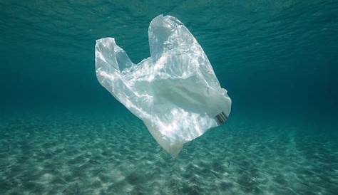 Sac Plastique Ocean La Dangereuse Métamorphose De Nos Déchets Tendua