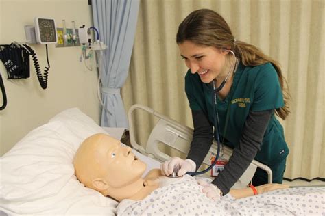 sac state pre nursing requirements