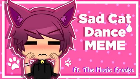 sad cat dance meme song