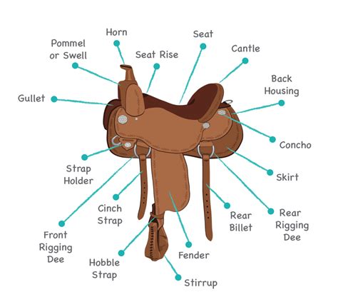 Saddle Parts Names