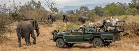 safari holidays south africa budget