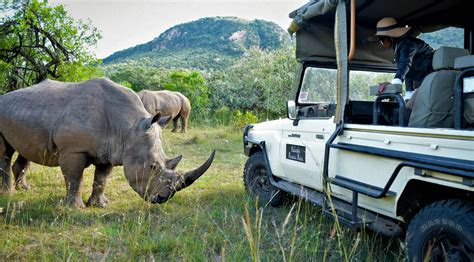 safari in south africa in february