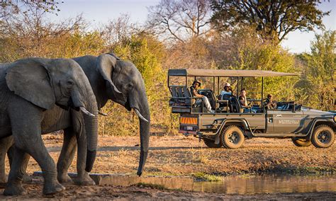 safari packages to africa