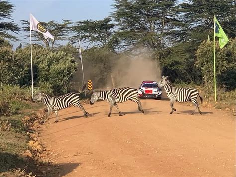 safari rally kenya 2024
