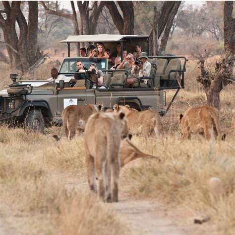 safari tours in botswana