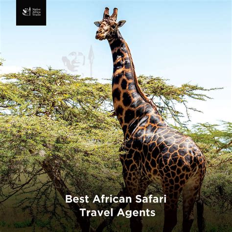 safari travel agents