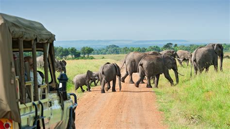 safari trips to africa reviews