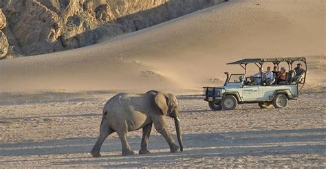 safaris in botswana and namibia