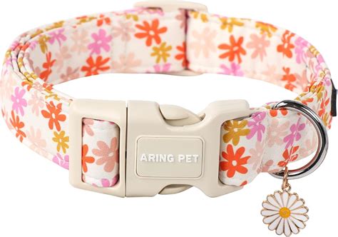 Safe Cute Dog Collars