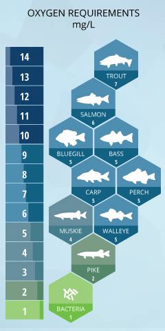 Safe Dissolved Oxygen Levels For Fish