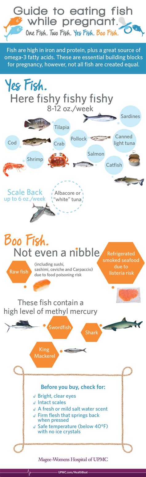 Safe fish during pregnancy