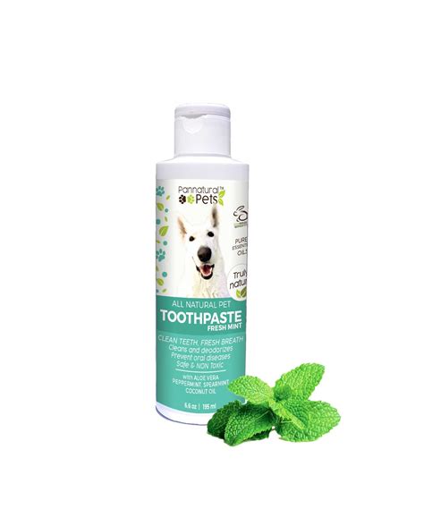 Safest Dog Toothpaste Reddit