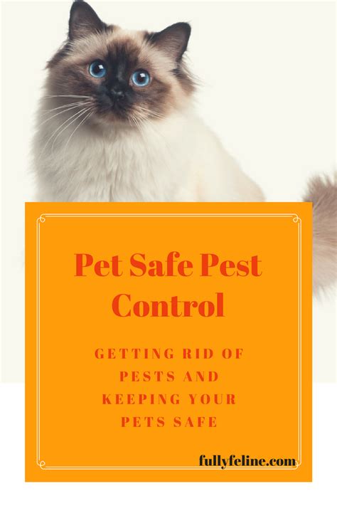 safest pest control for pets