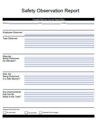 FREE 4+ Job Safety Observation Forms in PDF MS Word