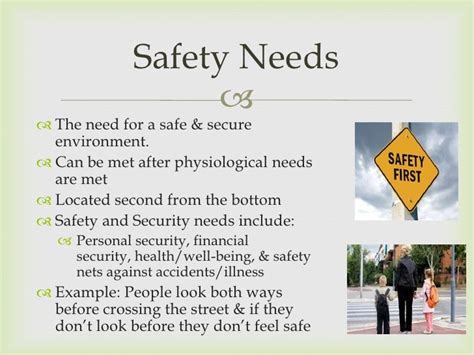 Safety And Security Needs Example